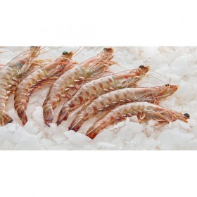 LANGOSTINO MEDITERRANEO