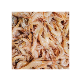 GAMBA ALISTADA ARROCERA