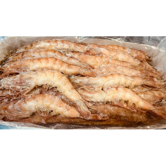 LANGOSTINO SALVAJE S/A NOTIALIS 20-30